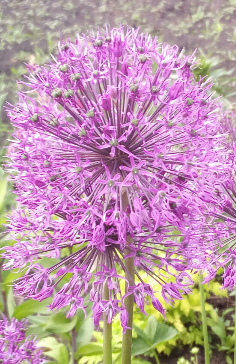 Александр Молодкин | Башмаково