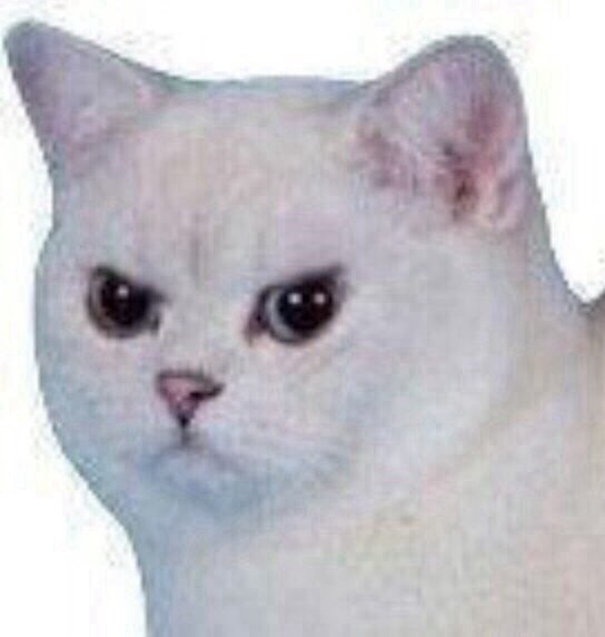 Леша Соколов | Москва