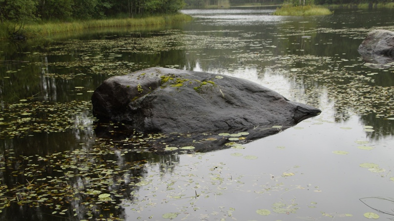 Алексей Девяткин | Санкт-Петербург