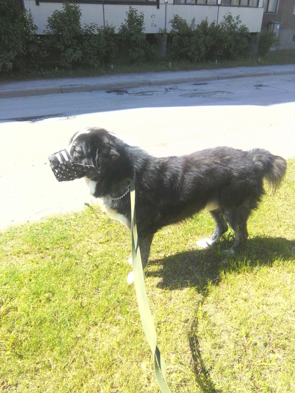 Екатерина Смирнова | Санкт-Петербург