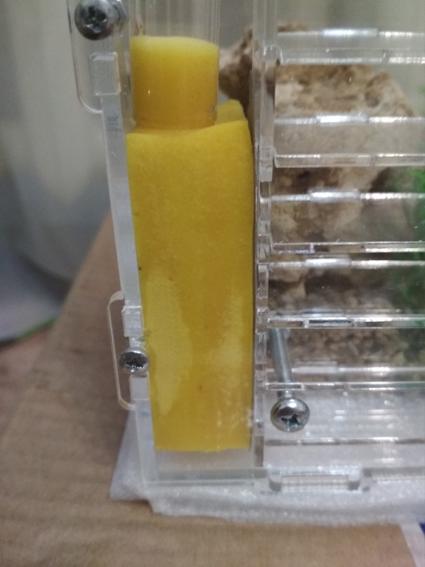 Сергей Заболоцкий spawnwomanizer | Серышево