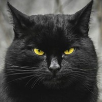 Сергей Коренной