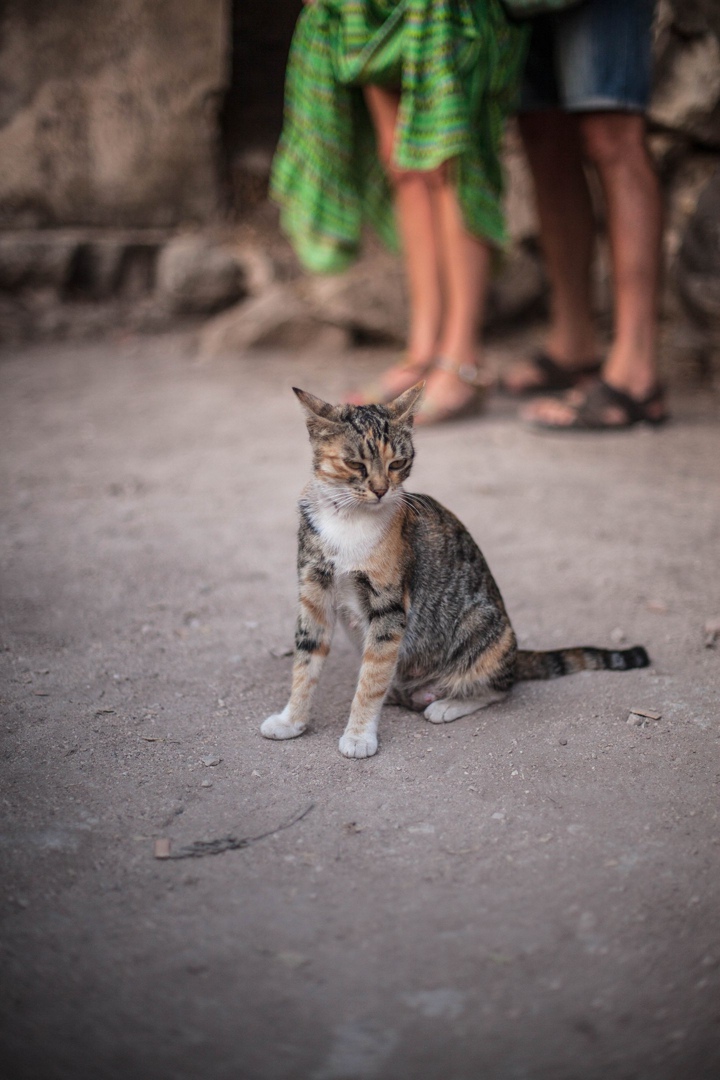 Артем Брежнев | Киев