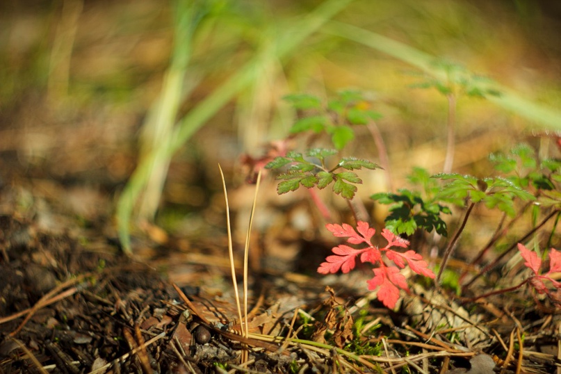 Иван Сидоров | Донецк
