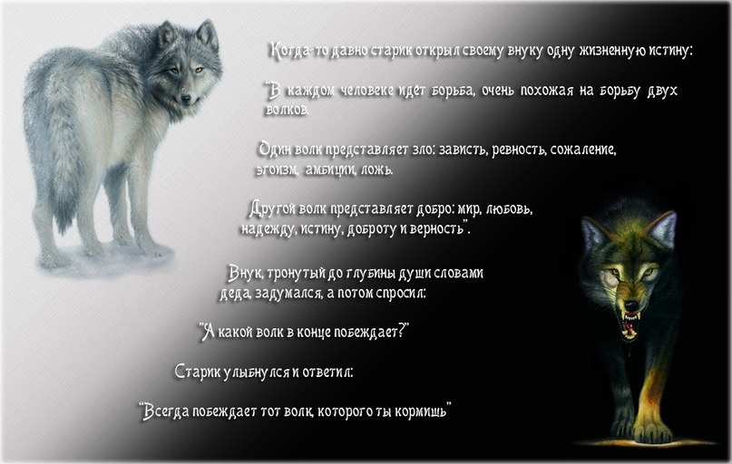 Артем Мустафин |