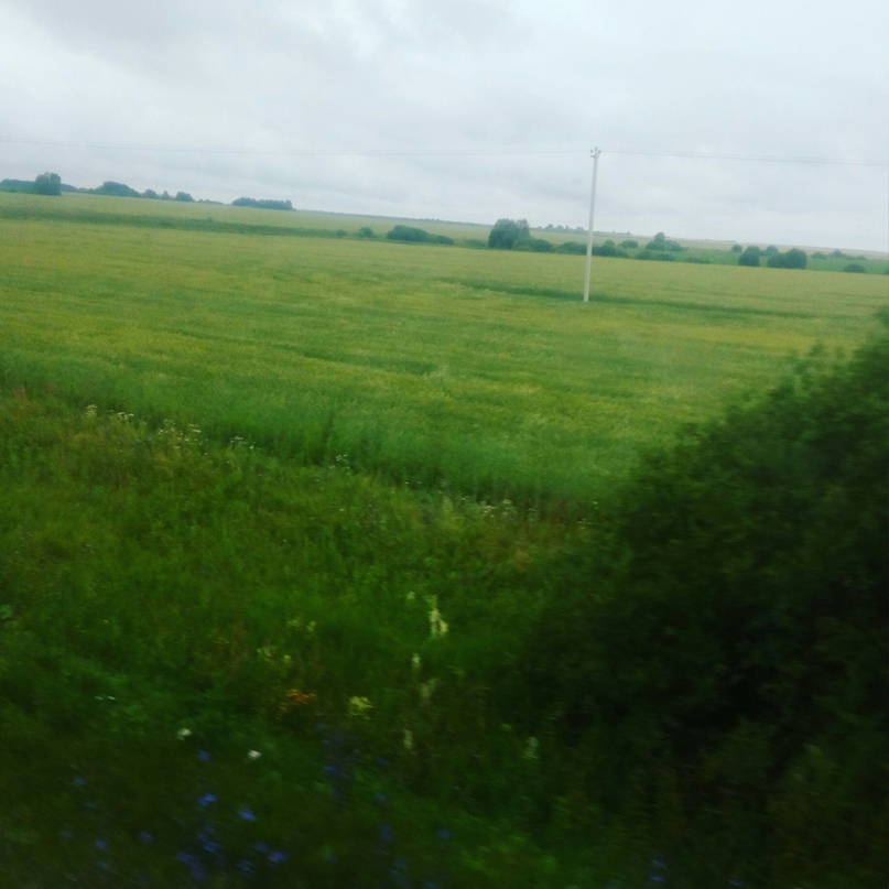 Ренат Сулейманов | New York City