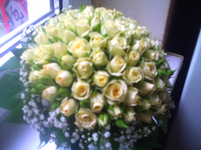 Вера Колупаева | Львов