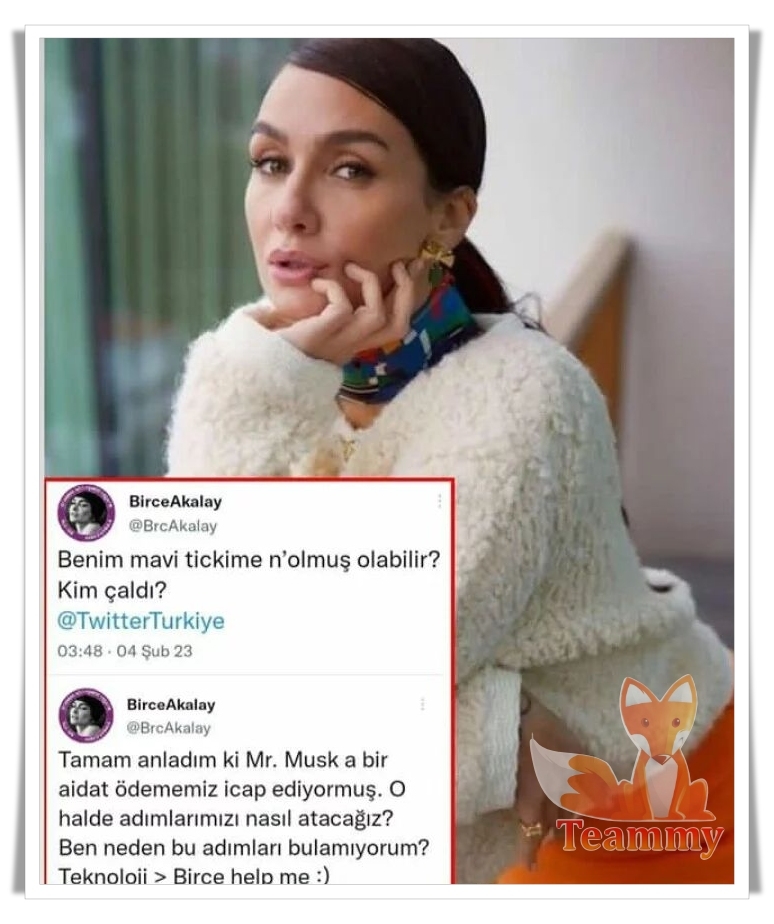 Бирдже Акалай