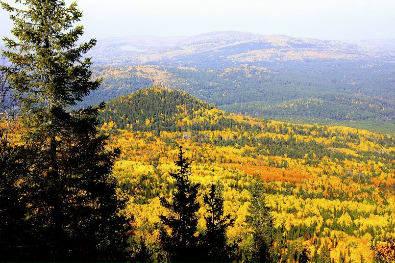 Это берега реки Зилим: фотографии Белорецка и природы Башкирии