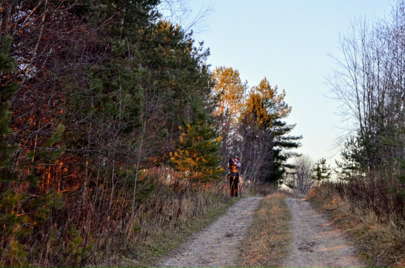 Александр Круглов | Вожега