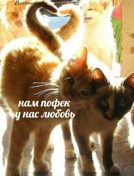 😀настоящую любовь никто не сломит