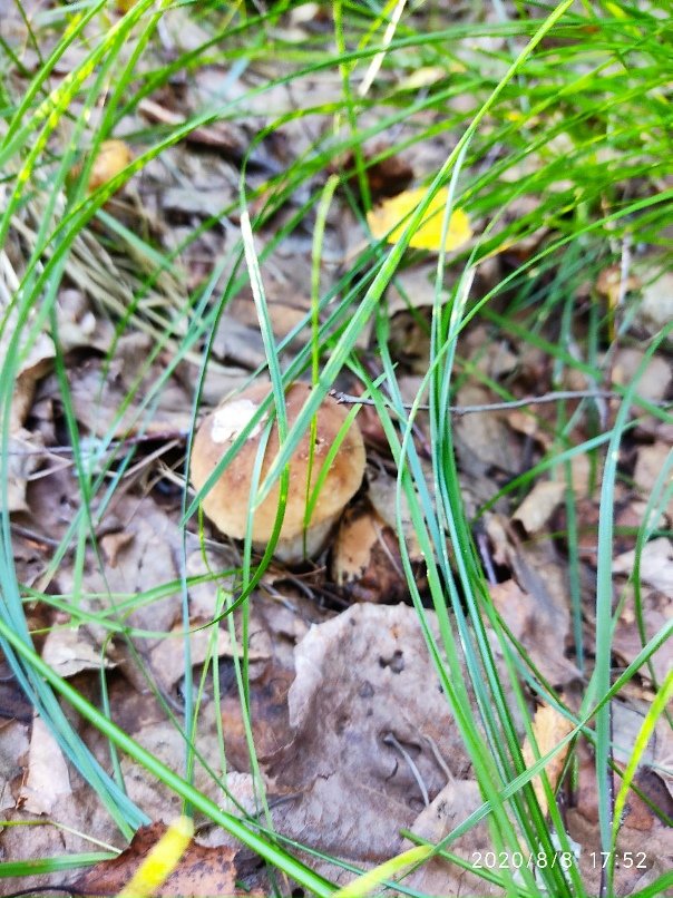 Денис Ка | Санкт-Петербург