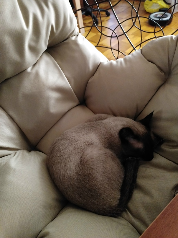 Марина Кошелева | Санкт-Петербург