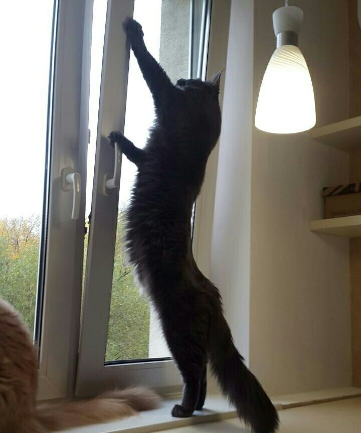 Илья Высоцкий | Москва