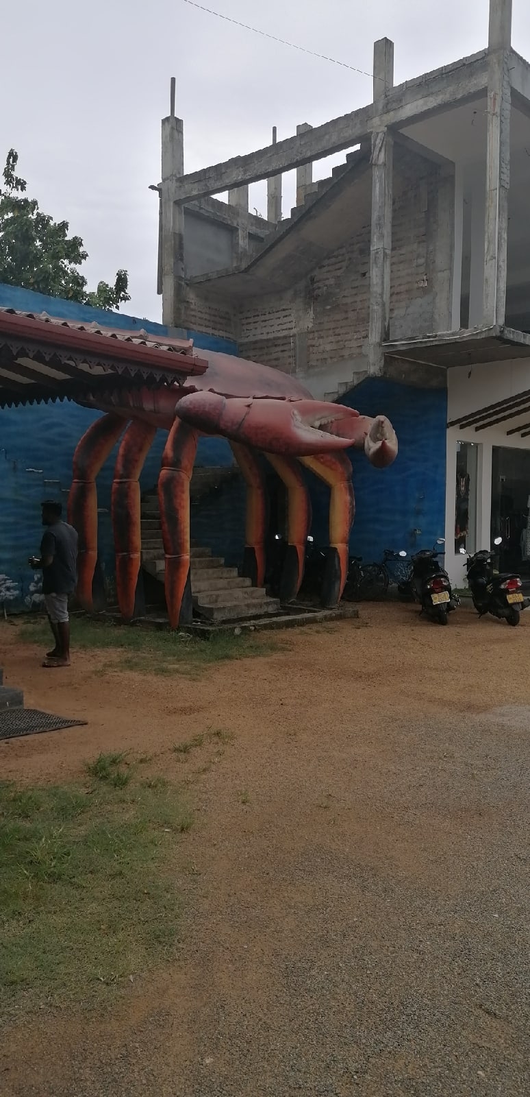 Юлия Карпова | Вознесенье