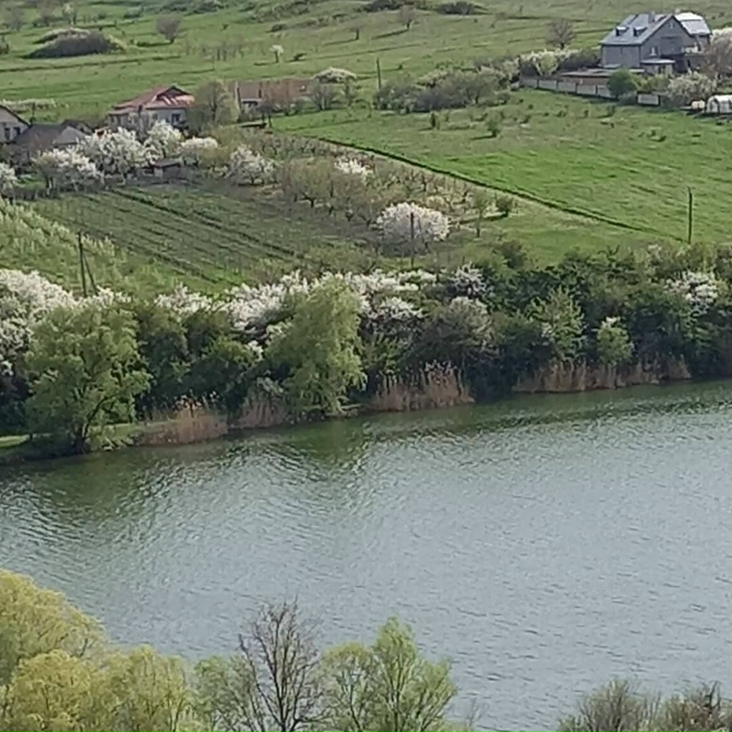 Ирина Усольцева | Армянск