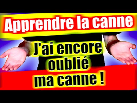 Apprendre la canne Jai encore oublié ma