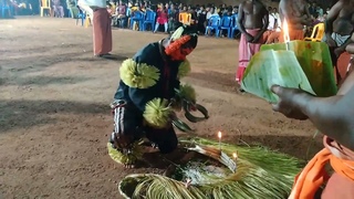 swami kuppe panjurli deiva   Goliadka