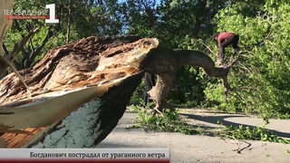 Богданович пострадал от ураганного ветра