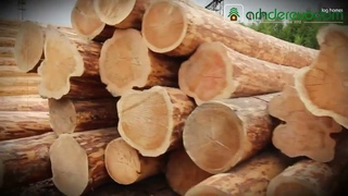 Принимаем заказы на дома из Архангельской сосны Зимней заготовки