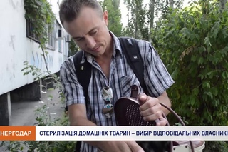 Стерилізація домашніх тварин: міфи та реальність