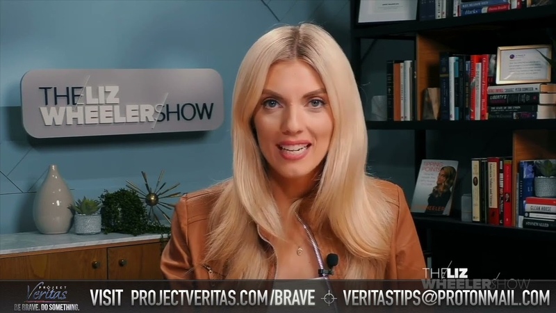 Liz Wheeler on Ashley Biden Authenticating Her Famed