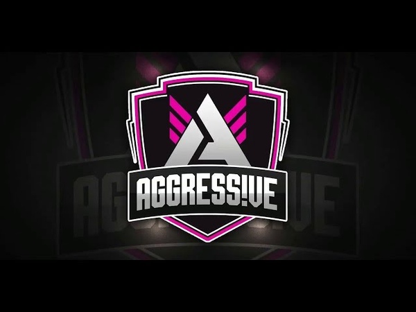 Чит на Combat Arms, AGGRESS VE