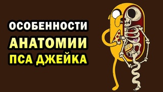 Особенности биологии Джейка | Спекулятивная биология