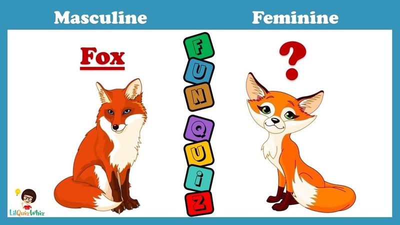 Gender Quiz 2, English Quiz,