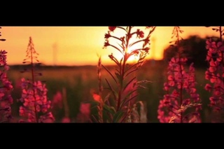 Ultra Panavision Test