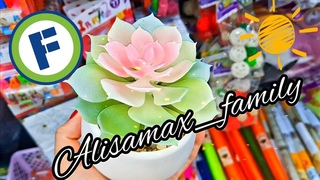 🔥ЛУЧШЕЕ ВИДЕО ИЗ МАГАЗИНА ФИКС ПРАЙС🔥 НОВИНКИ!!!