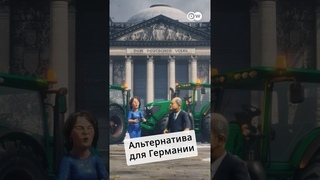 Альтернатива для Германии #zapovednikshow #shorts