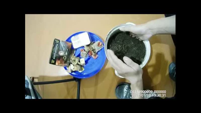 развожу червей для рыбалки и вопрос у опытных рыбаков