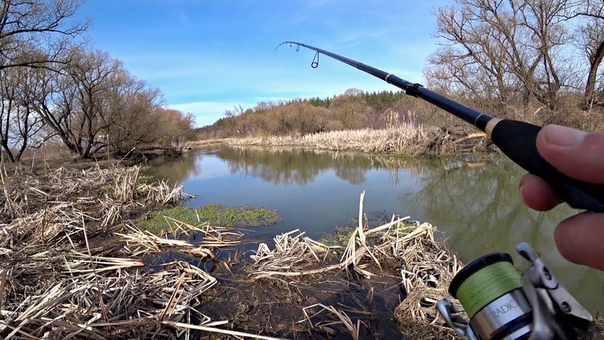 рыбалка реки видео. хобби рыбалка. рыбалка реки видео. летняя рыбалка. щука на малой реке весной.