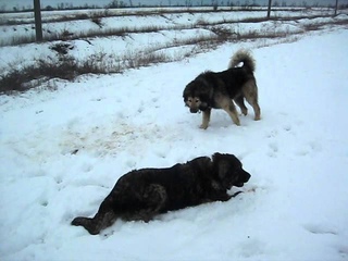 В полях