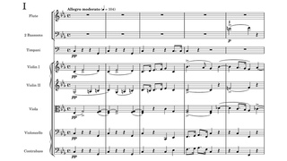 Full Score Franz Strauss - Horn Concerto in C minor, Op. 8