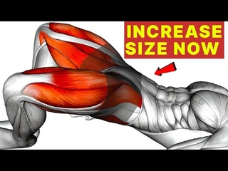 Gain 3 Inches ln 1 Week- Men's 5 Minute Kegel Exercises (pelvic floor Exercises)