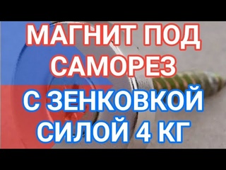 Неодимовый магнит кольцо 203 мм с отверстием и зенковкой 4,5 на 7,5 мм силой сцепления 3,88 кг