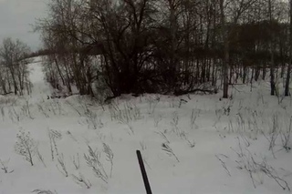Тропить зайца