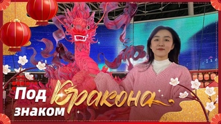 Фонари разных форм в Китае