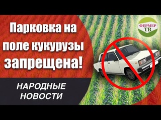 Штрафные новости