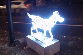 Саратов, новогодняя светящаяся собака