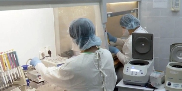 коронавирус в вологодской области. коронавирус в вологодской. вологодская больница коронавирус. коронавирус вологда первые случай. коронавирус вологда первые случай.