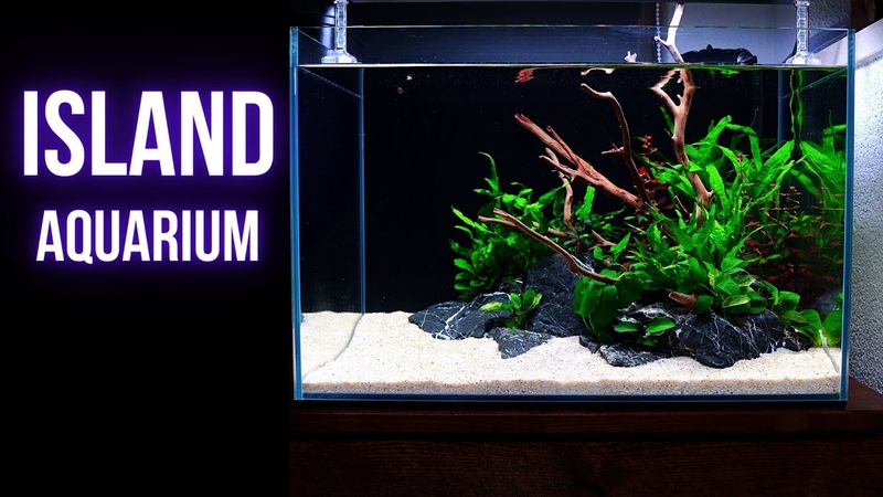 Simple nano ISLAND AQUASCAPE as your FIRST PLANTED AQUARIUM, BEGINNER AQUASCAPE TUTORIAL,