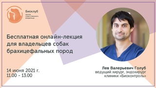 Бесплатная онлайн-лекция для владельцев собак брахицефальных пород