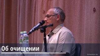 Торсунов О.Г.  Об очищении организма
