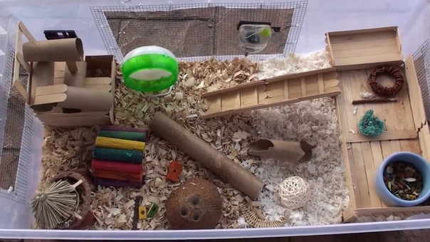 Robo Hamster Cage Tour Jan.