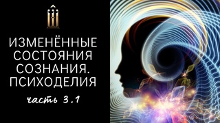 АЙХУАСКА, ЛСД. Разбор 2-х трипов. Чувствовал себя волком. Видел себя на одной плоскости с Духом