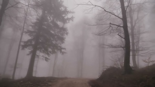 Группа “Кукла М“ - Возвращайтесь любимые (mood video)